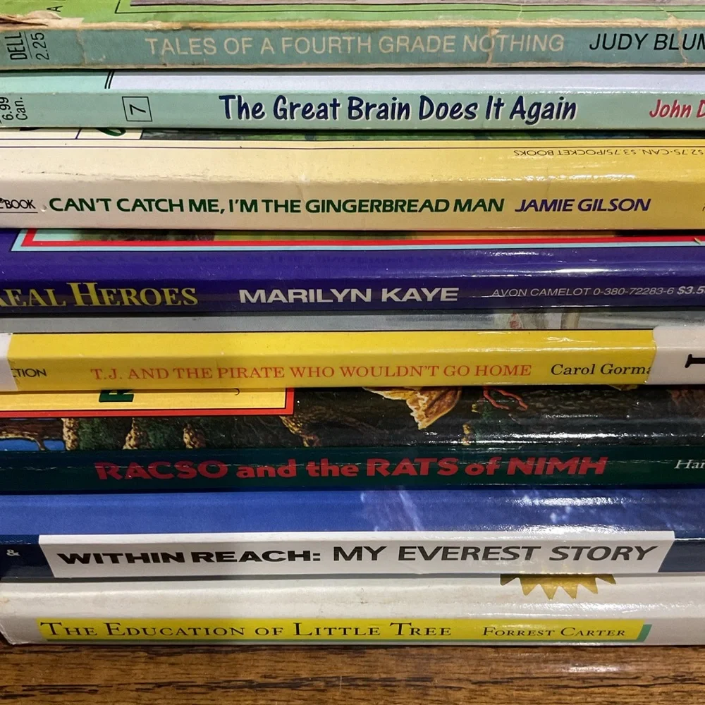 17 Assortment of Kids Children's Books 📚 novels 📖
